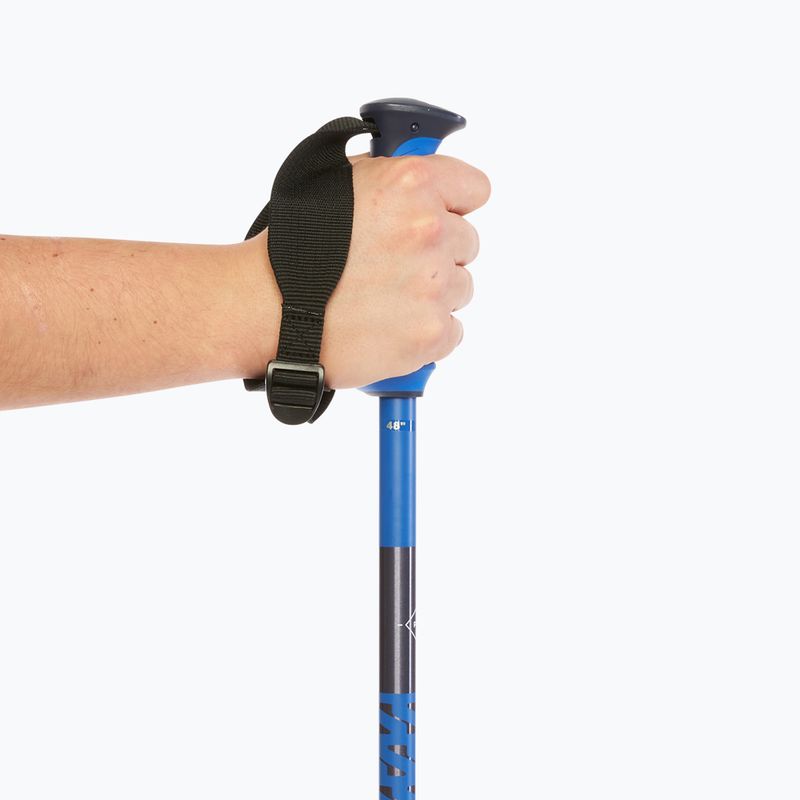 Skistöcke Salomon Polar Pro race blue 7