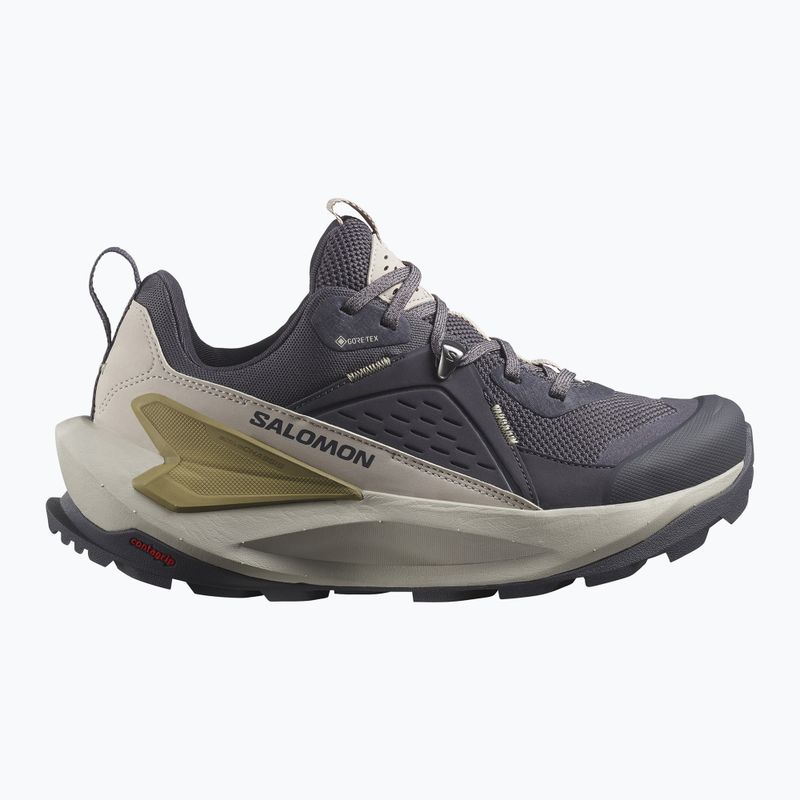 Wanderschuhe Damen Salomon Elixir GTX 9 nine iron/silver cloud/sponge 9