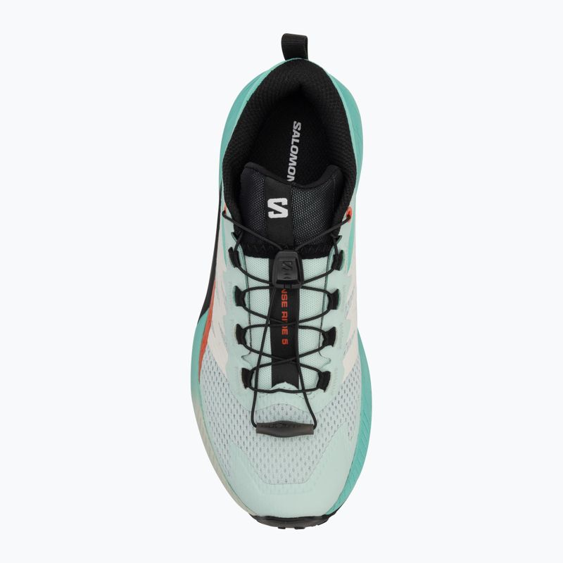 Laufschuhe Damen Salomon Sense Ride 5 bay/black/cherry tomato 5