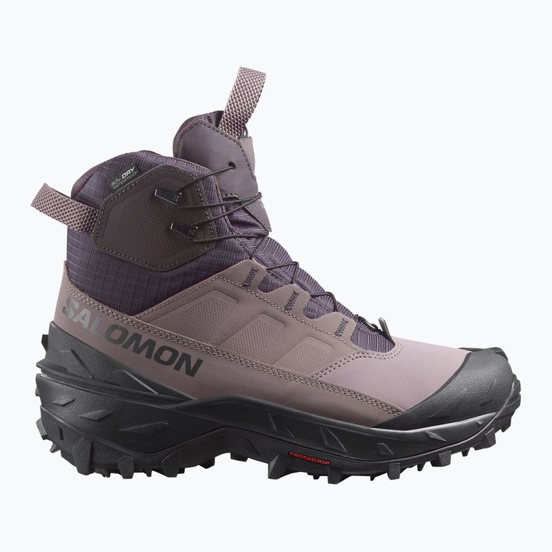 Damen-Trekkingschuhe Salomon Crosstrak Powder WP nine iron/shark