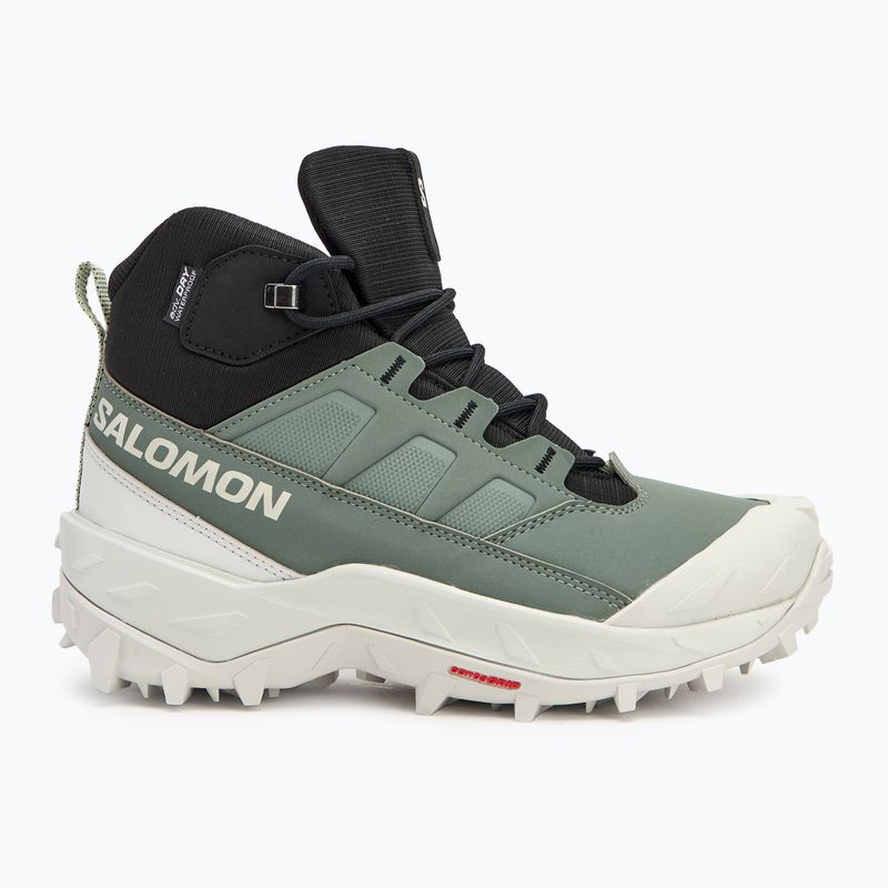 Trekking Wander Schuhe Damen Salomon Crosstrak WP agave green/black/can ary green 2