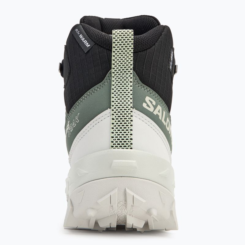 Trekking Wander Schuhe Damen Salomon Crosstrak WP agave green/black/can ary green 6