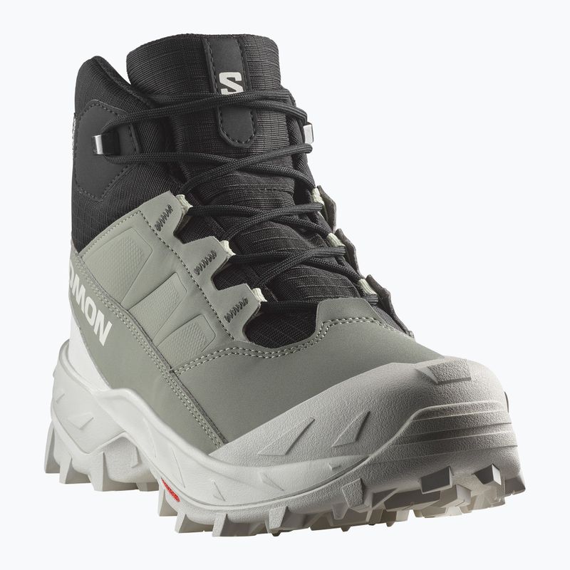 Trekking Wander Schuhe Damen Salomon Crosstrak WP agave green/black/can ary green 8