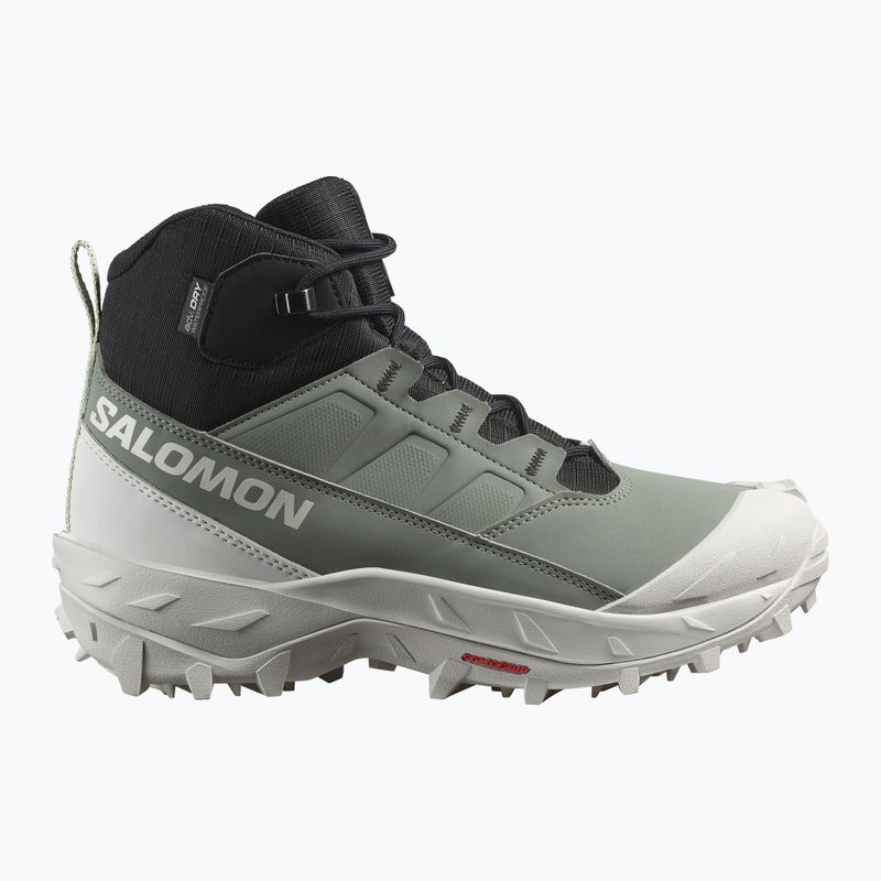 Trekking Wander Schuhe Damen Salomon Crosstrak WP agave green/black/can ary green 9