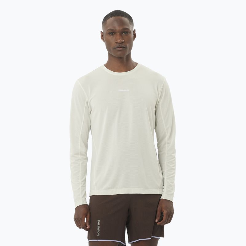 Lauf Longsleeve Herren Salomon SHAKEout Core icicle