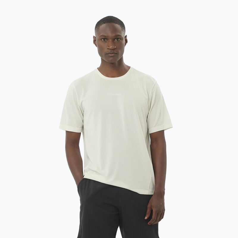 Laufshirt Herren Salomon SHAKEout Core icicle