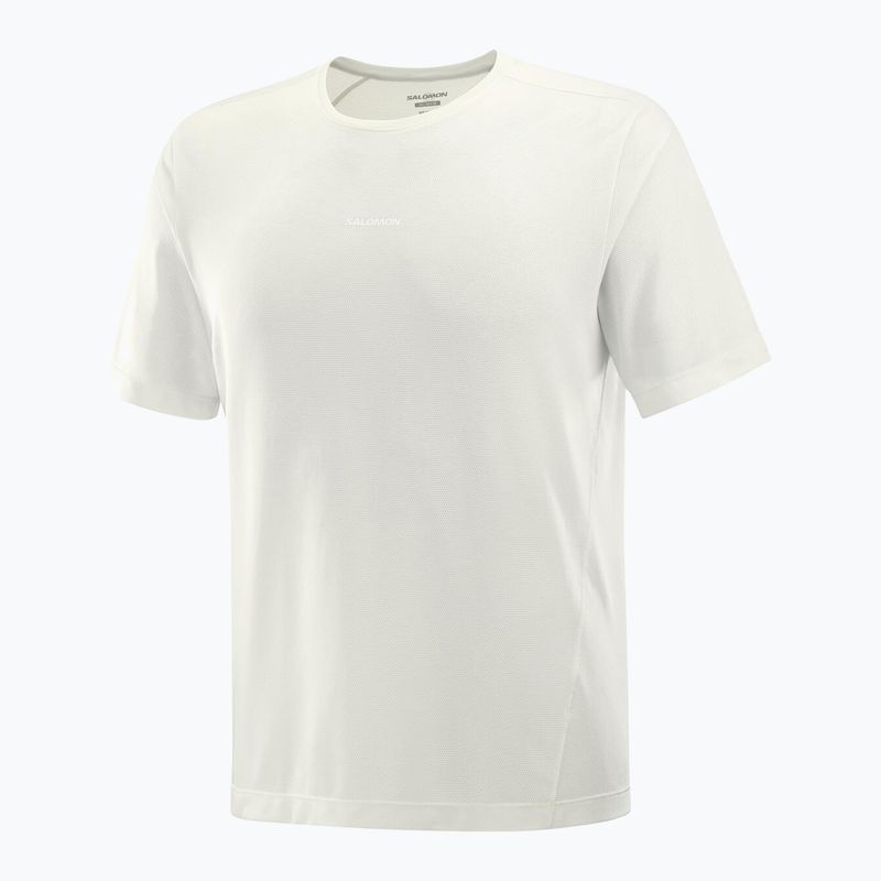 Laufshirt Herren Salomon SHAKEout Core icicle 4