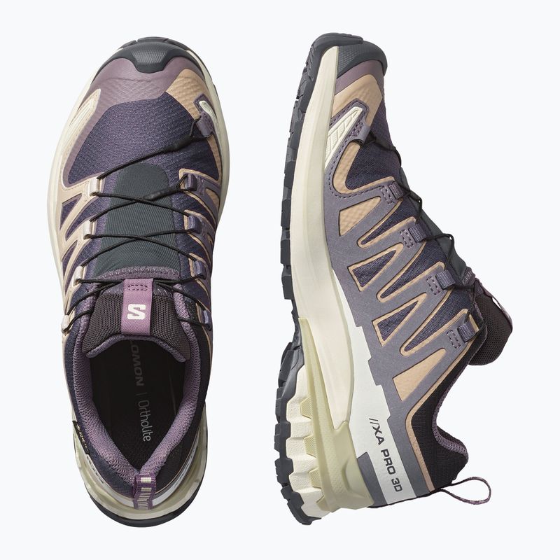 Laufschuhe für Damen Salomon XA Pro 3D V9 GTX nine iron/oxford tan 3