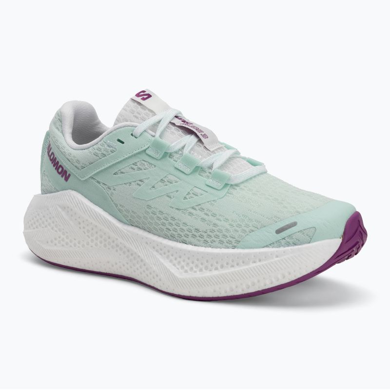Laufschuhe Damen Salomon Aero Glide 3 bay/white/wilowherb