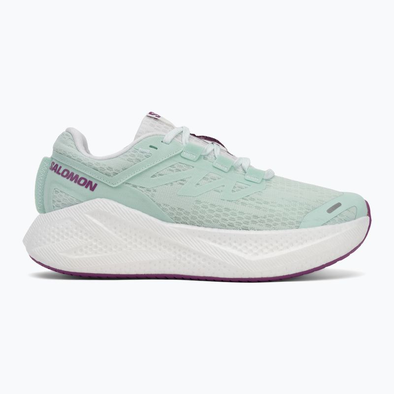 Laufschuhe Damen Salomon Aero Glide 3 bay/white/wilowherb 2