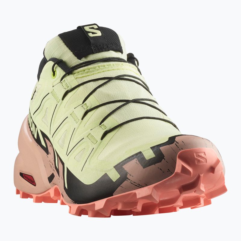 Damen-Laufschuhe Salomon Speedcross 6 GTX lime cream/mahogany rose/schwarz