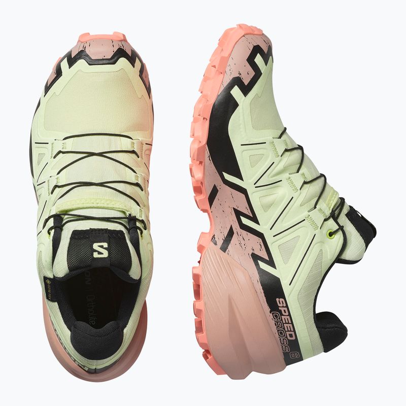 Damen-Laufschuhe Salomon Speedcross 6 GTX lime cream/mahogany rose/schwarz 6