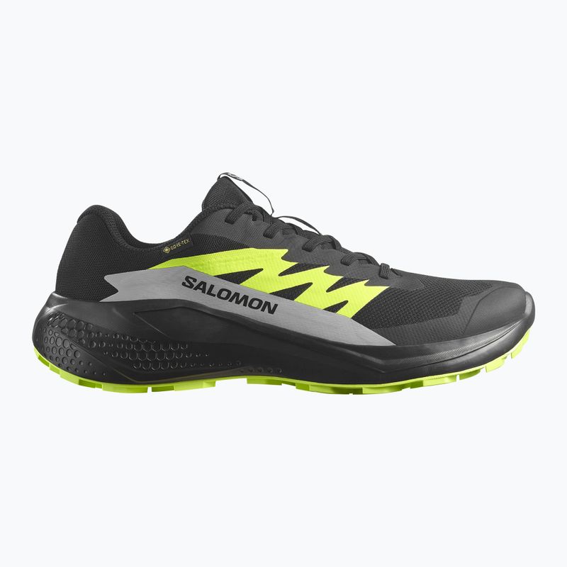 Herren-Laufschuhe Salomon Alphaglide GTX schwarz/legierung/scharfgrün