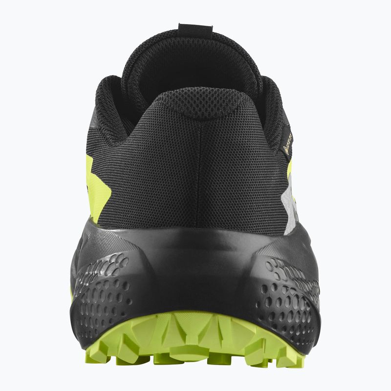 Herren-Laufschuhe Salomon Alphaglide GTX schwarz/legierung/scharfgrün 3