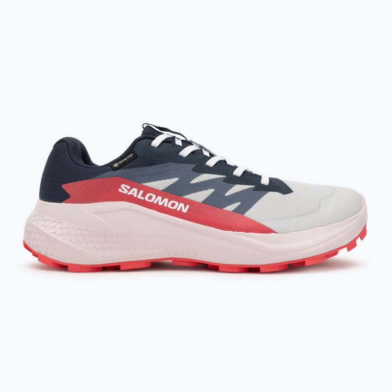 Damen-Laufschuhe Salomon Alphaglide GTX lunar rock/blue night/rouge red 2