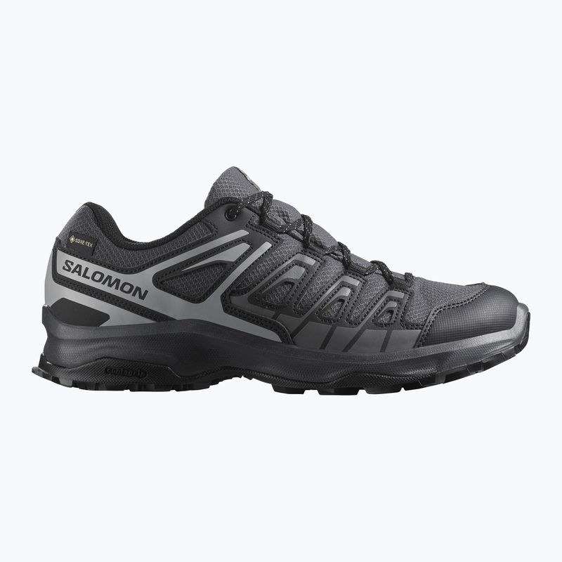 Herren-Trekking-Schuhe Salomon Extegra GTX asphalt/schwarz/castlerock 2
