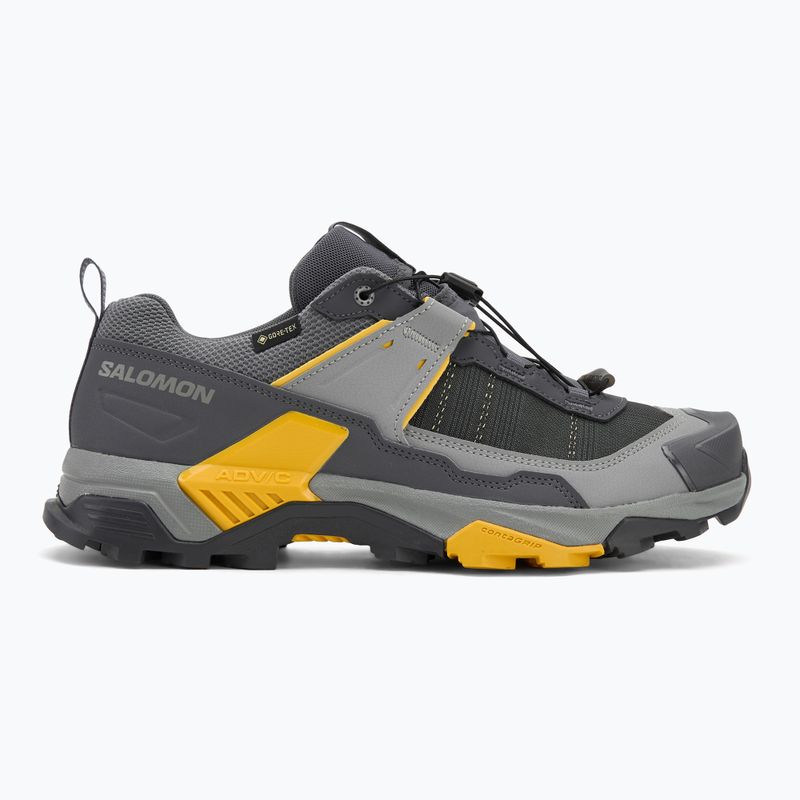 Herren-Trekking-Schuhe Salomon X ULTRA 5 GTX turbulence/monument/spicy mustard 2