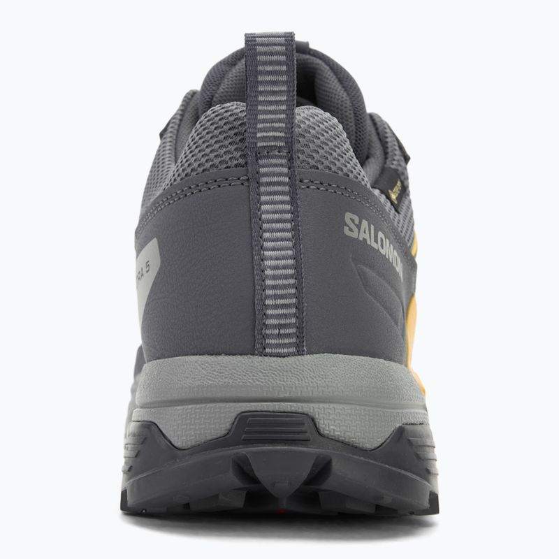 Herren-Trekking-Schuhe Salomon X ULTRA 5 GTX turbulence/monument/spicy mustard 6