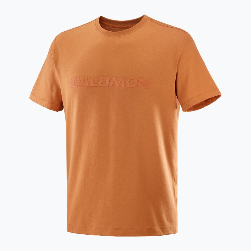 Shirt Herren Salomon Big Logo Tee sierra 4
