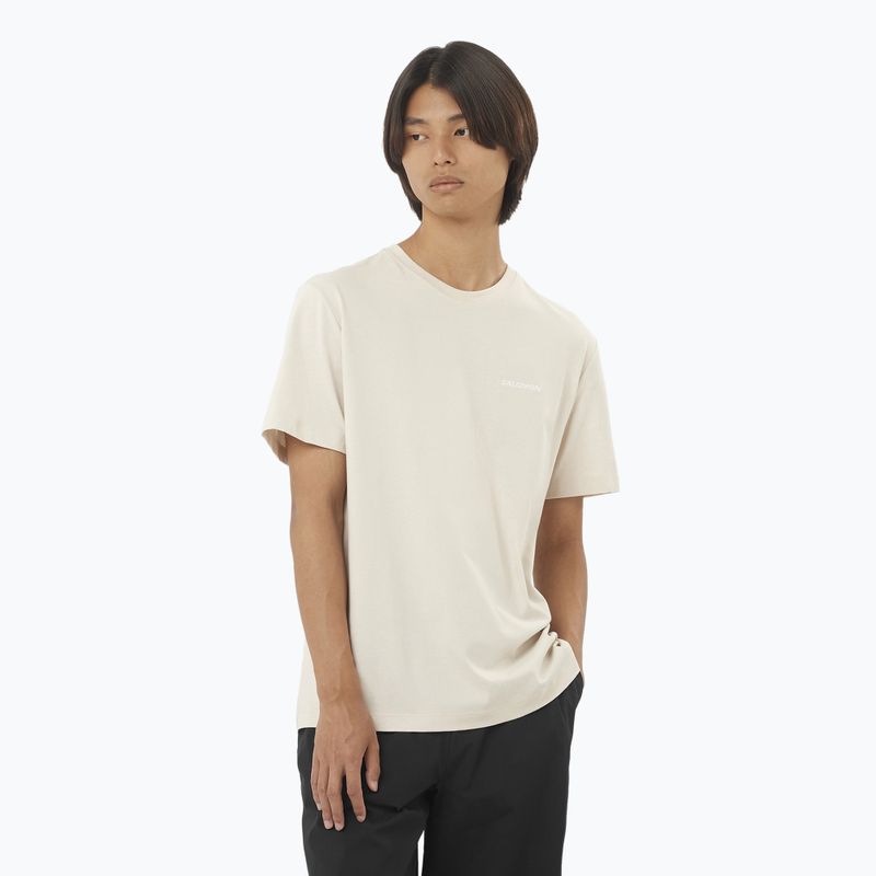 Shirt Herren Salomon Logo Tee rainy day