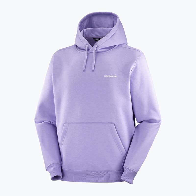 Hoodie Sweatshirt Herren Salomon Logo Hoodie violet tulip 3