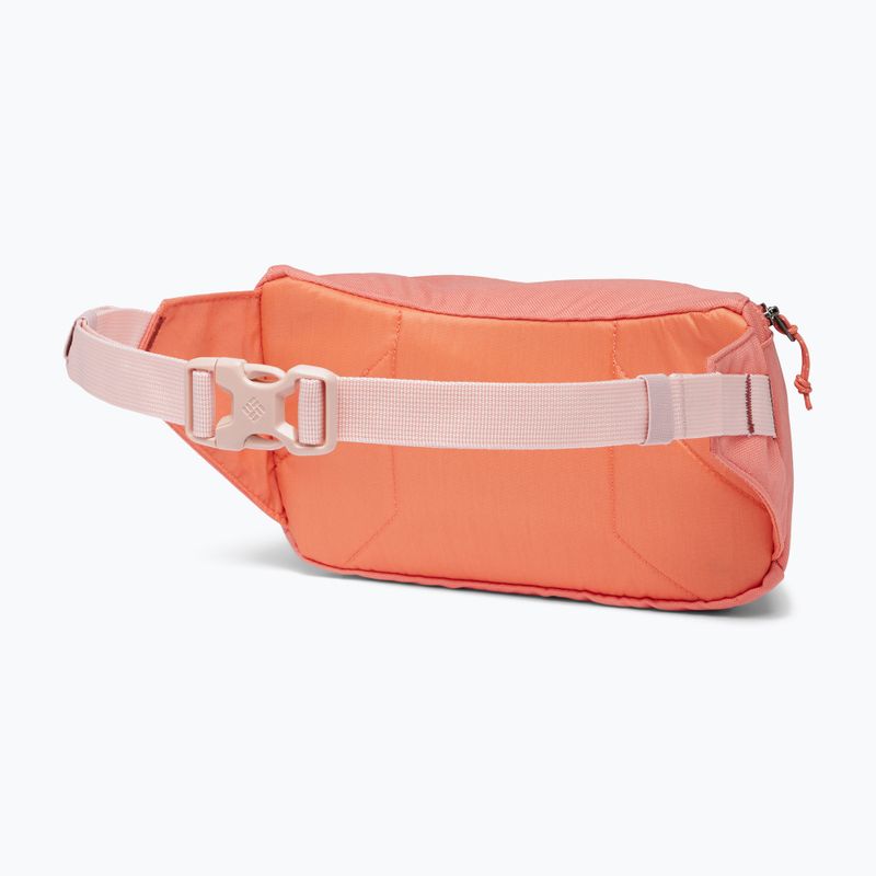 Columbia Zigzag Hip Pack Nierentasche verblasst Pfirsich/Beetroot 2