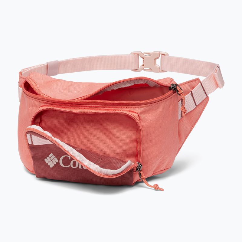 Columbia Zigzag Hip Pack Nierentasche verblasst Pfirsich/Beetroot 3