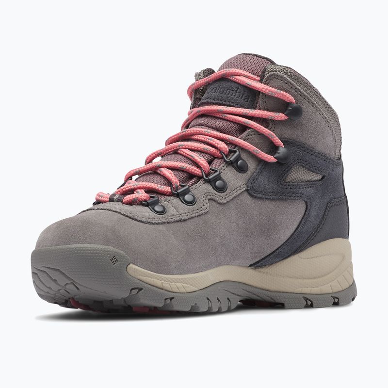 Damen-Trekkingschuhe Columbia Newton Ridge Plus Wp Amped Stratus/Canyon Rose 9
