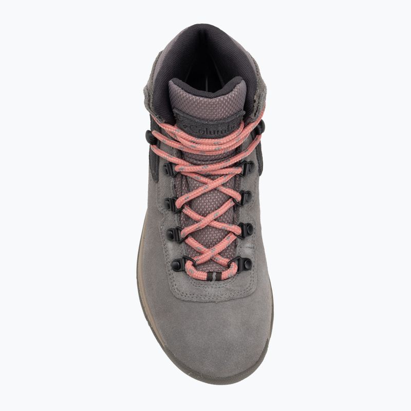 Damen-Trekkingschuhe Columbia Newton Ridge Plus Wp Amped Stratus/Canyon Rose 5