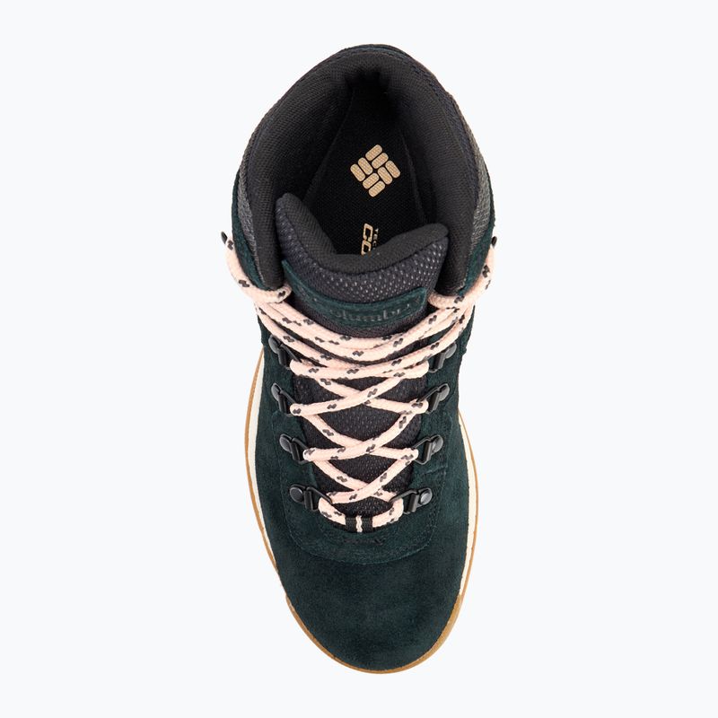 Damen-Trekkingstiefel Columbia Newton Ridge Plus WP Amped schwarz/ blush rose 5