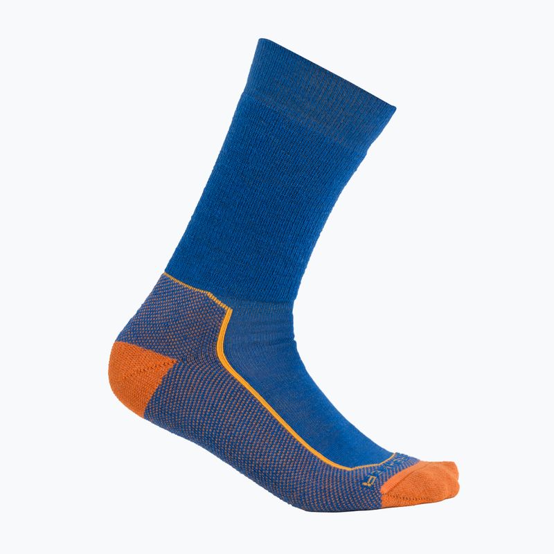 Icebreaker Herren-Trekkingsocken Hike+ Medium Crew lazurite/solar/earth