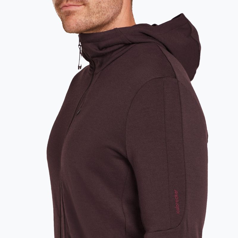 Icebreaker Merino 260 Quantum IV Zip Hoodie für Herren bittersüß 8