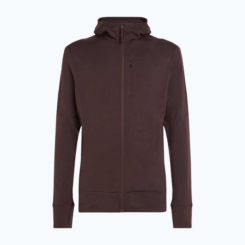 Icebreaker Merino 260 Quantum IV Zip Hoodie für Herren bittersüß 11