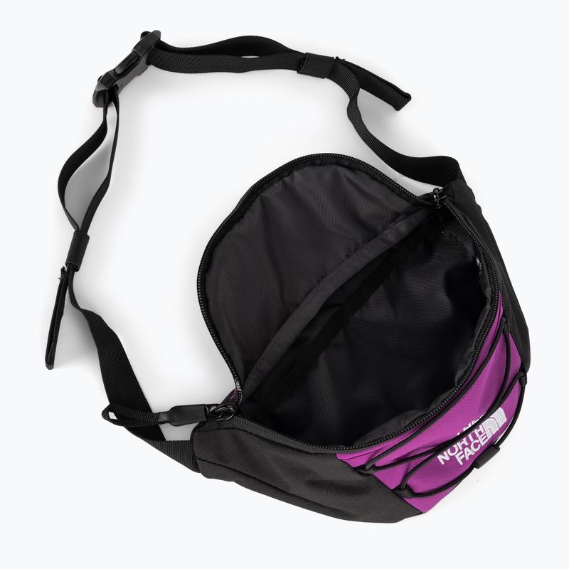 The North Face Jester Lumbal lila NF0A52TMYV41 Hüfttasche 5