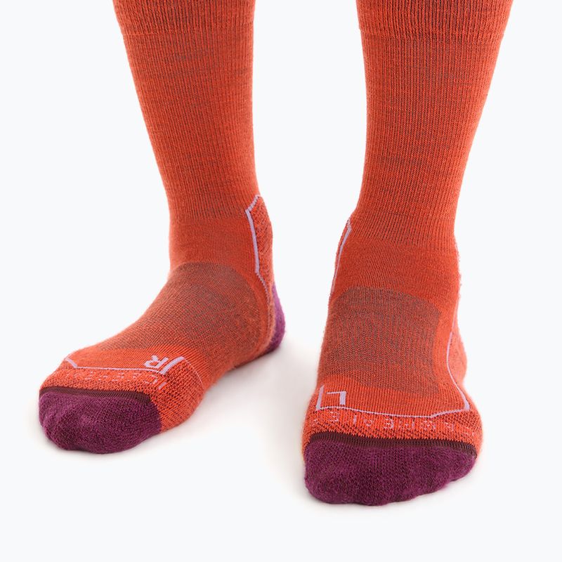 Icebreaker Damen Wandersocken Hike+ Light Crew rot 105099 3