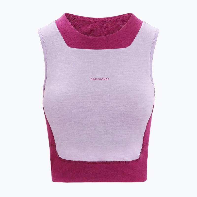 Damen Funktionsshirt icebreaker Zoneknit Cropped Bra-Tank purple gaze 6