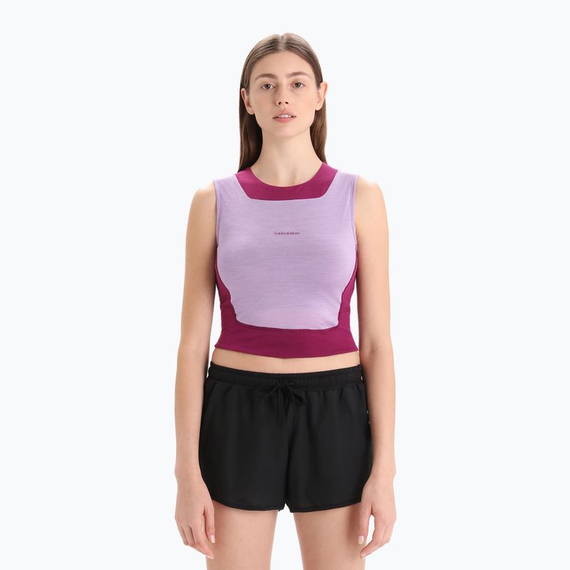 Damen Funktionsshirt icebreaker Zoneknit Cropped Bra-Tank purple gaze 8