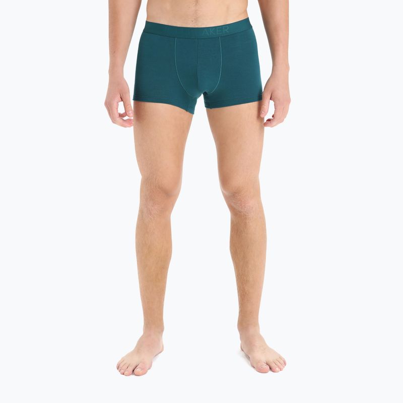 Thermo-Boxershorts für Männer Eisbrecher Anatomica Cool-Lite grün 105223 4