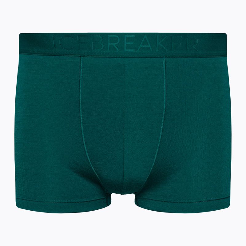 Thermo-Boxershorts für Männer Eisbrecher Anatomica Cool-Lite grün 105223