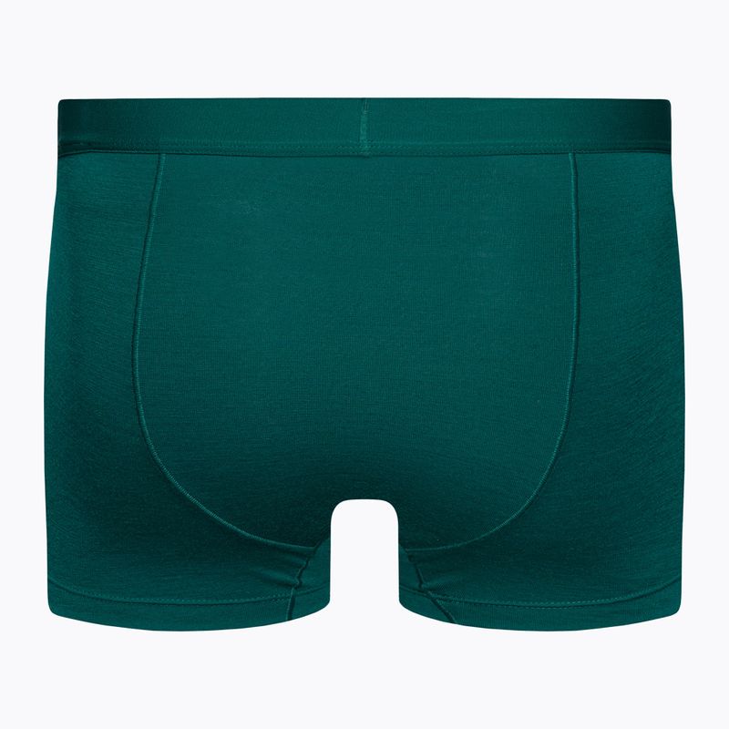 Thermo-Boxershorts für Männer Eisbrecher Anatomica Cool-Lite grün 105223 2