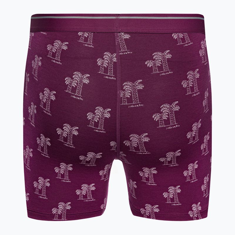 Thermische Boxershorts für Männer Eisbrecher Anatomica Go Berry 103029 2