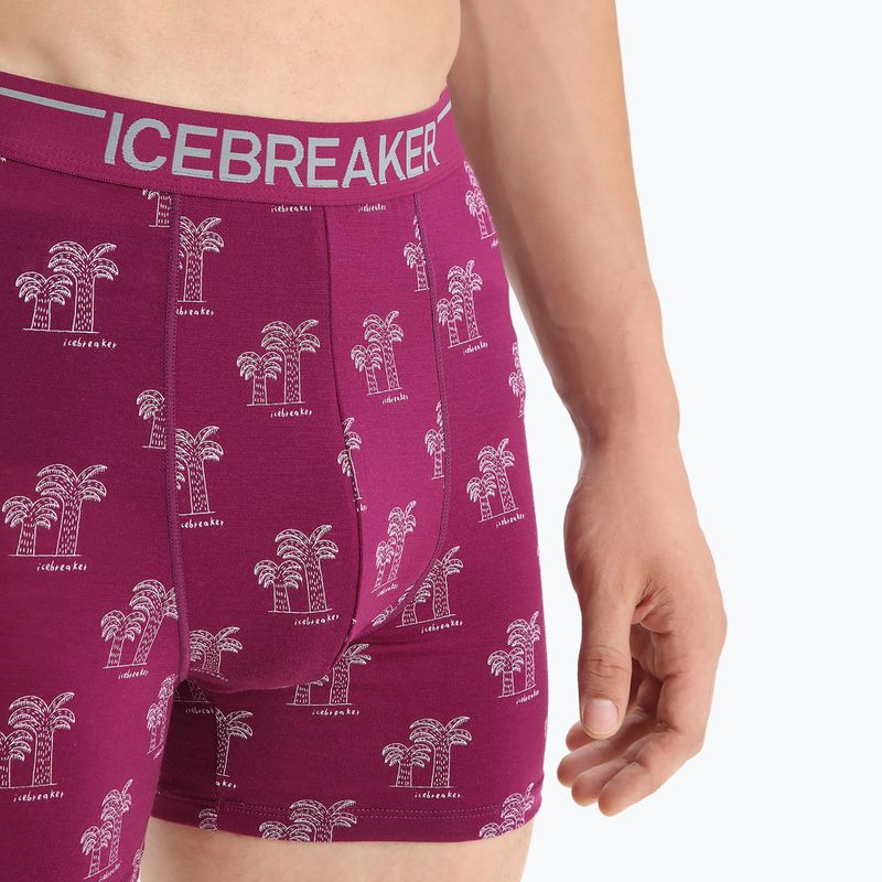 Thermische Boxershorts für Männer Eisbrecher Anatomica Go Berry 103029 7