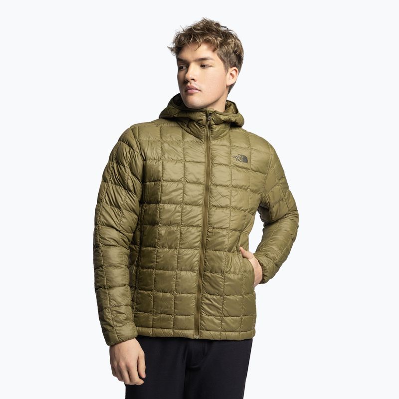 Herren Daunenjacke The North Face Thermoball Eco Hoodie 2.0 grün NF0A5GLK37U1