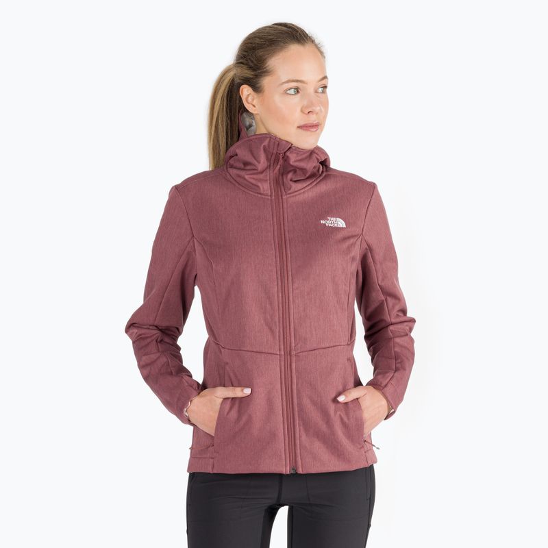 Damen Softshelljacke The North Face Quest Highloft rosa NF0A3Y1K7A21