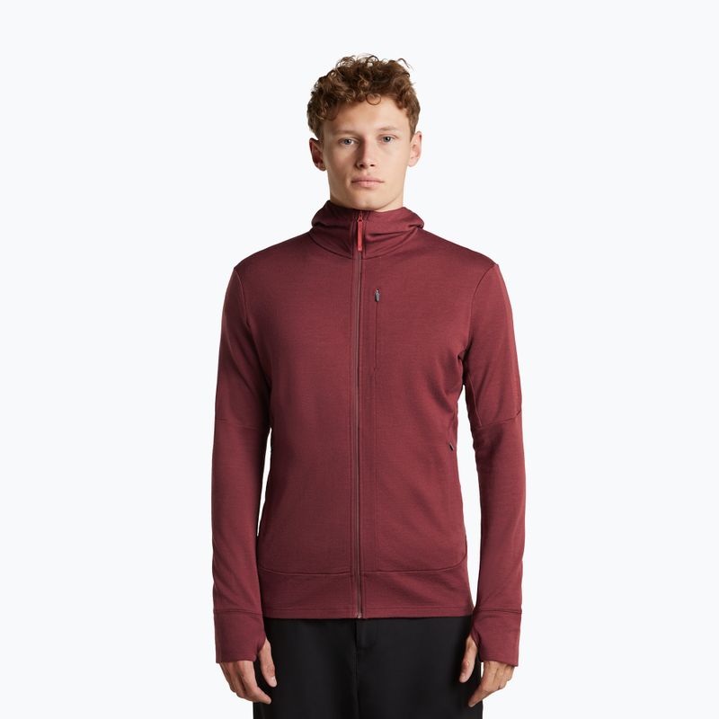 Herrenpullover Icebreaker Merino 260 Quantum IV LS Zip Hoodie port/agate