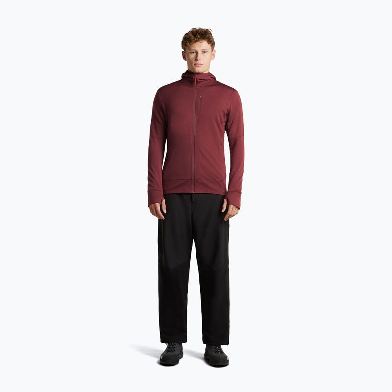Herrenpullover Icebreaker Merino 260 Quantum IV LS Zip Hoodie port/agate 4