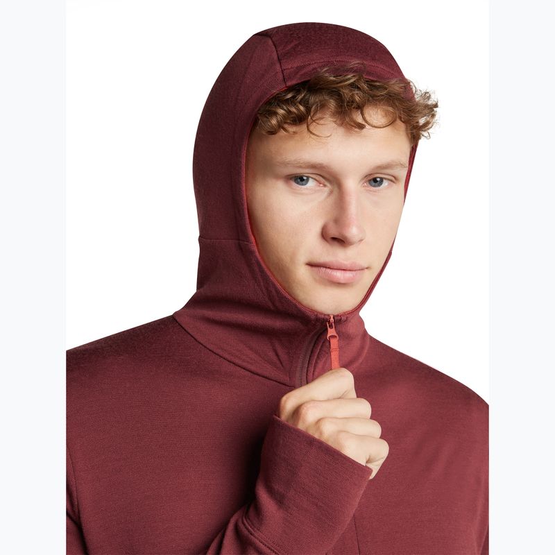 Herrenpullover Icebreaker Merino 260 Quantum IV LS Zip Hoodie port/agate 6