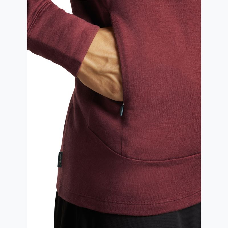 Herrenpullover Icebreaker Merino 260 Quantum IV LS Zip Hoodie port/agate 9