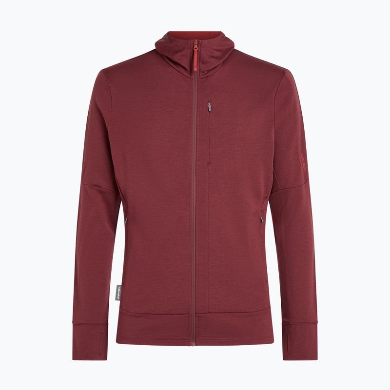 Herrenpullover Icebreaker Merino 260 Quantum IV LS Zip Hoodie port/agate 10