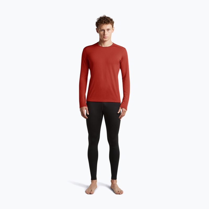 Herren Funktionsshirt langärmlig Icebreaker 260 Tech Crewe Agate 4